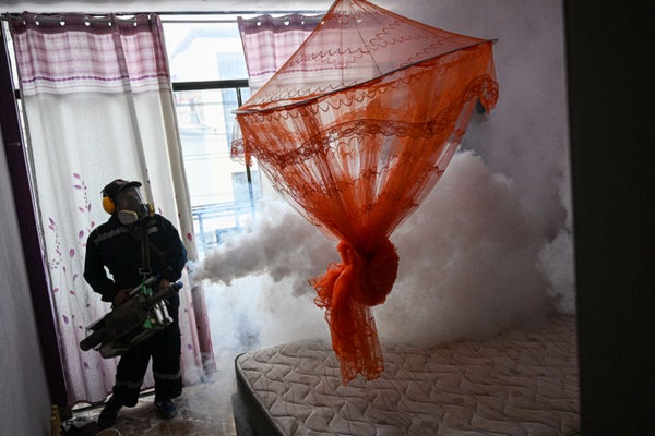 Fumigator sprays bed and mattress with orange mosquito net.
