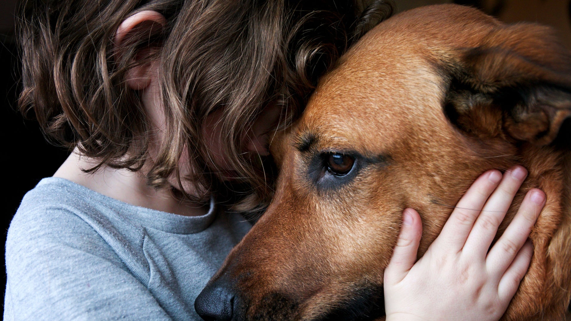 When Dogs Smell Your Stress, They Act Sad | Scientific American