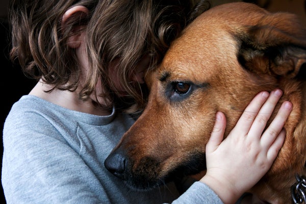 A little girl hugs a dog with their heads together