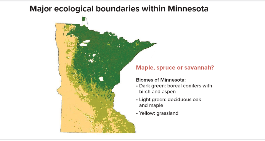 Map of Minnesota uses color to show various biomes: boreal conifers with birch and aspen, deciduous oak and maple, and grassland.