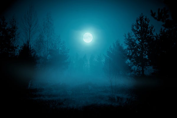 photo illustration of a foggy forest under the night sky with a full moon in cold blue tones