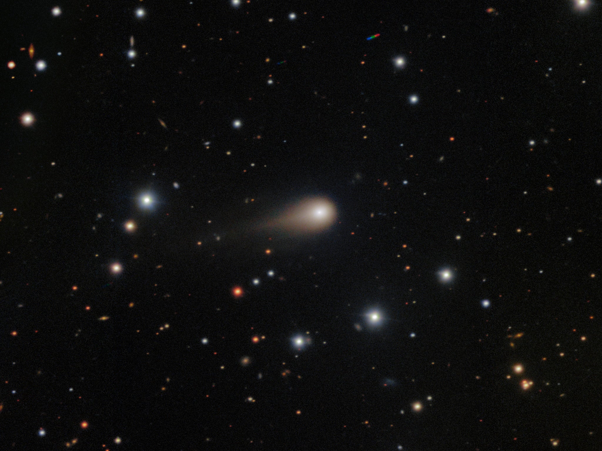 A fuzzy comet with a fat tail extended behind it seen against a background of stars.
