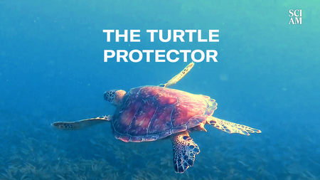 A sea turtle swims through clear, blue water with the words "The Turtle Protector" above it