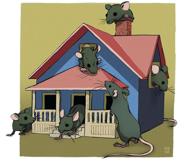 Illustration of four mice surrounding a small house.