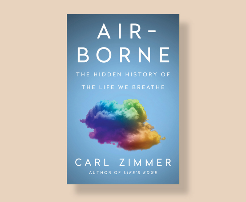 Sampul buku Air Borne