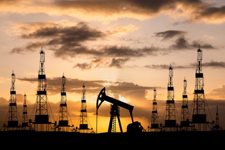 Oil field with rigs and pumps at sunset.