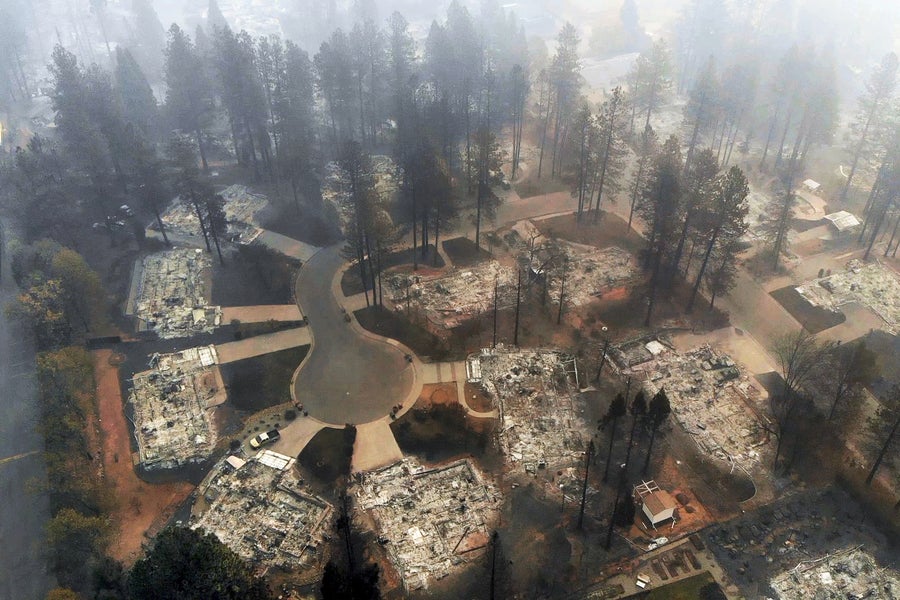 https://static.scientificamerican.com/dam/m/786573f62041ac0/original/aerial_view_of_paradise_california_neighborhood_after_camp_fire.jpg?m=1744221824.288&w=900