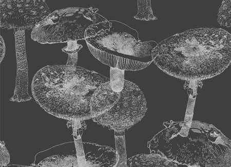 Mushroom vector seamless repeat grey on black.