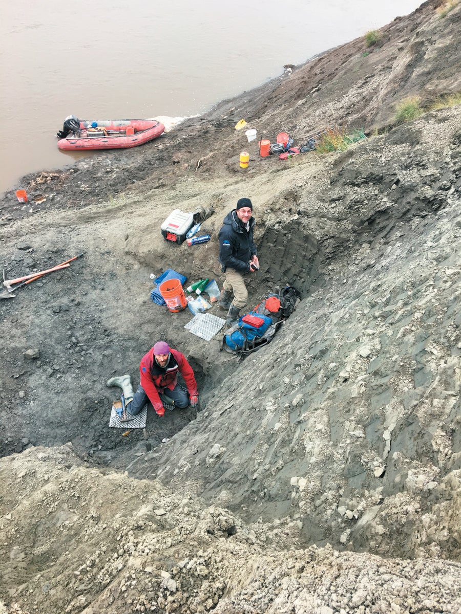Researchers excavate a fossil site along the Colville River in northern Alaska