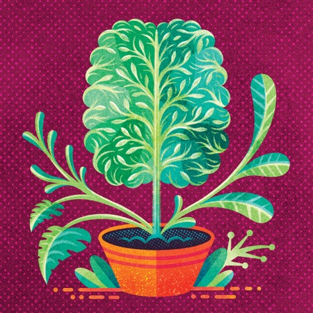 Illustration of a green potted plant