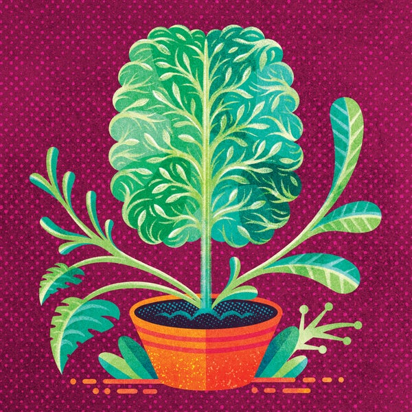 Illustration of a green potted plant