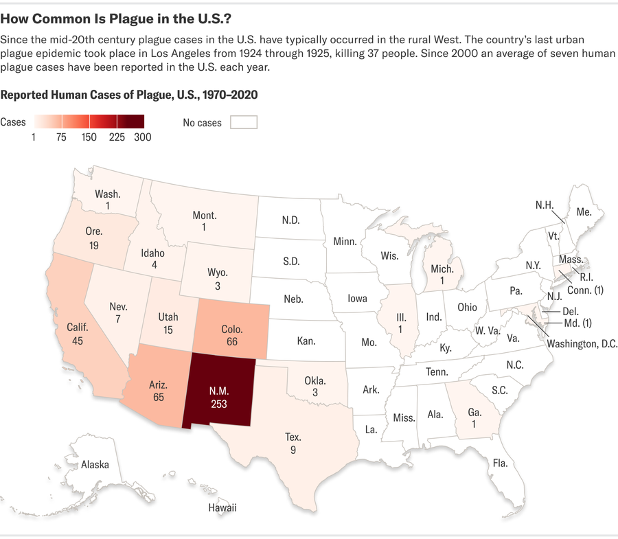 A map shows reported human cases of plague in the U.S. from 1970 to 2020. New Mexico has the highest number, with 253 cases. Thirty-two states and Washington, D.C., have had zero cases.