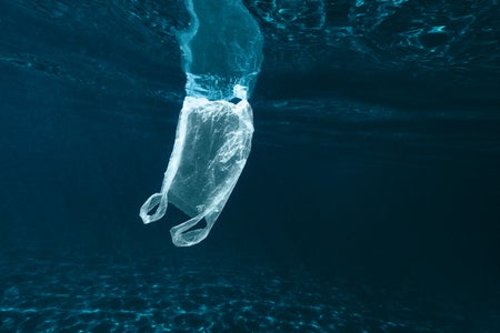 Plastic bag floating underwater