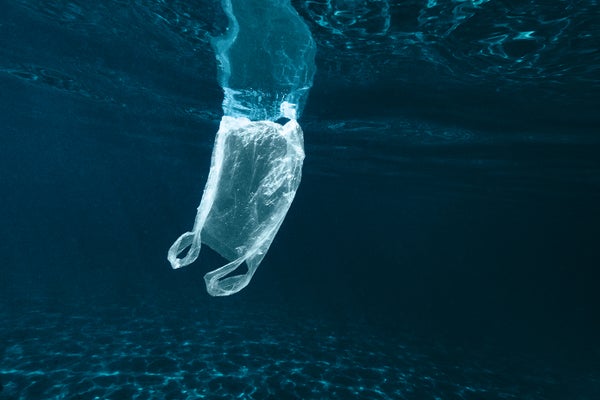 Plastic bag floating underwater