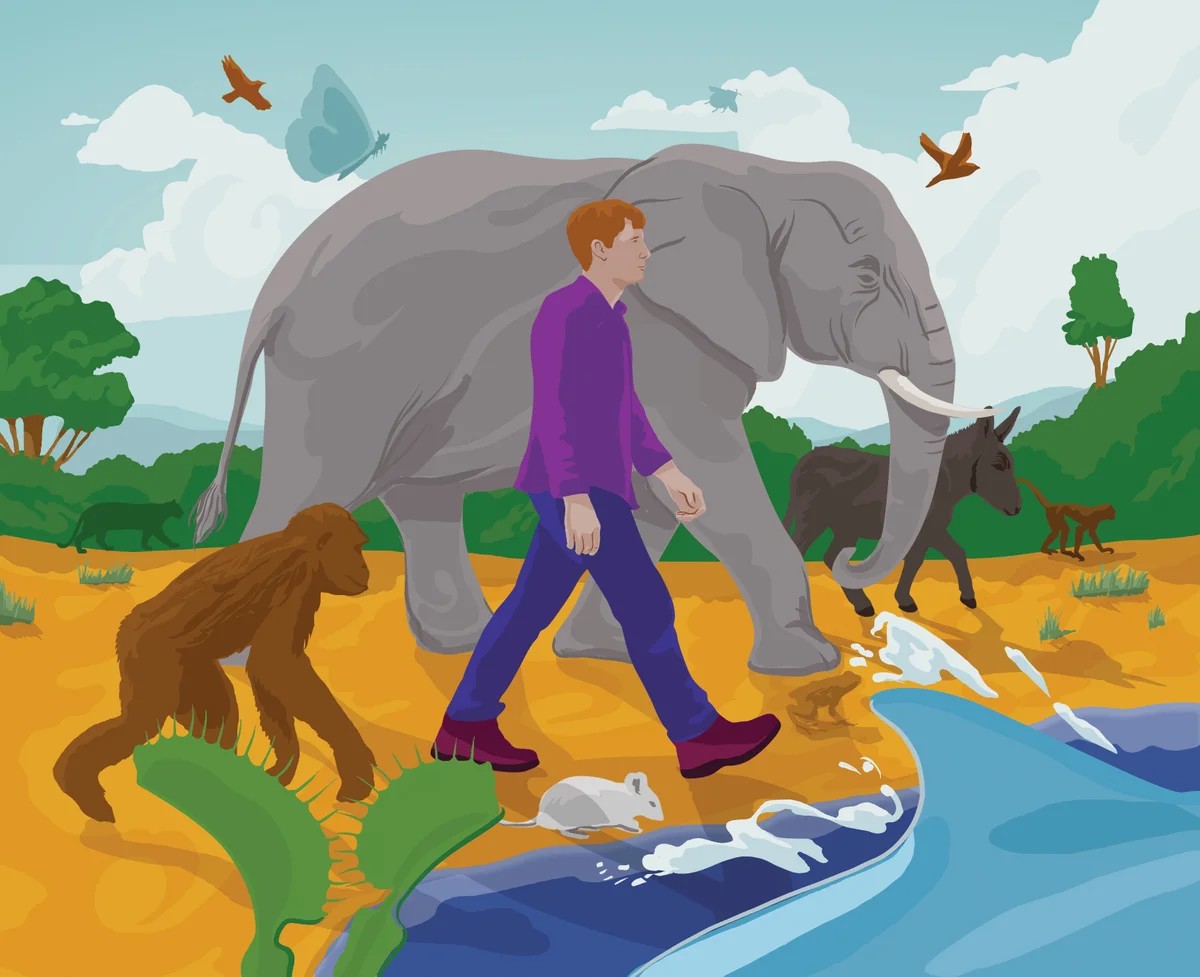 Whales Mourn, Birds Show Self-Awareness, Plants Remember—Are Humans Really So Special?