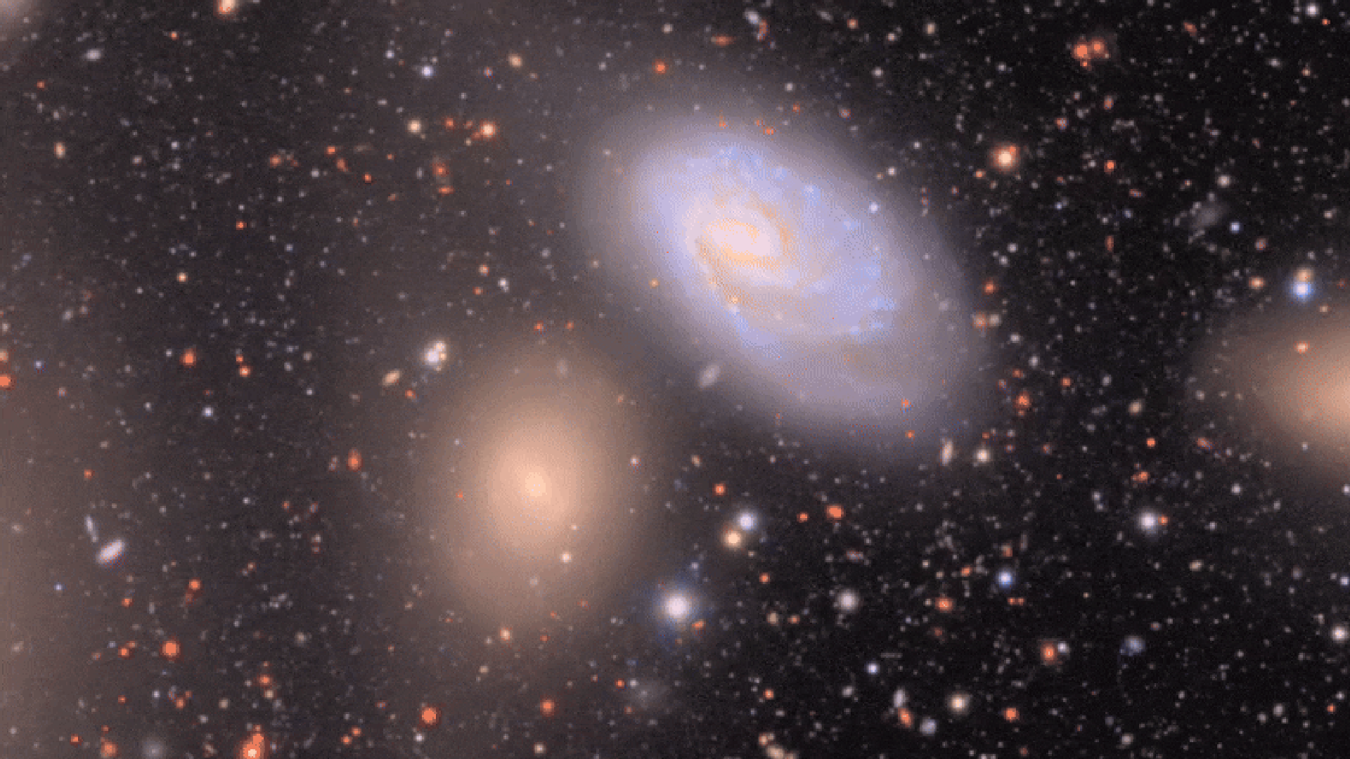 After quiet off-year elections, Democrats renew worries about Trump  interfering in the midterms | FOX 56 News, image size:1920x1080