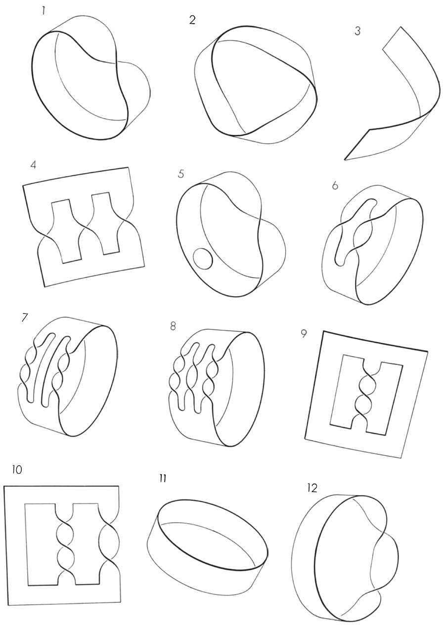 Series of 12 schematics represent the first 12 examples described in the text.