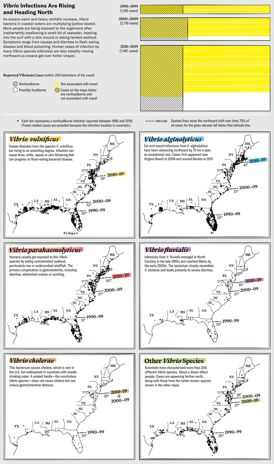 Chart shows reported vibriosis cases over time along the southern and eastern coasts of the U.S. Cases have risen from 1,193 in 1990–1999 to 7,467 in 2010–2019. Series of six maps shows infections related to different Vibrio species. Dashed latitude markers for three different time intervals highlight the northerly shift in cases over time.