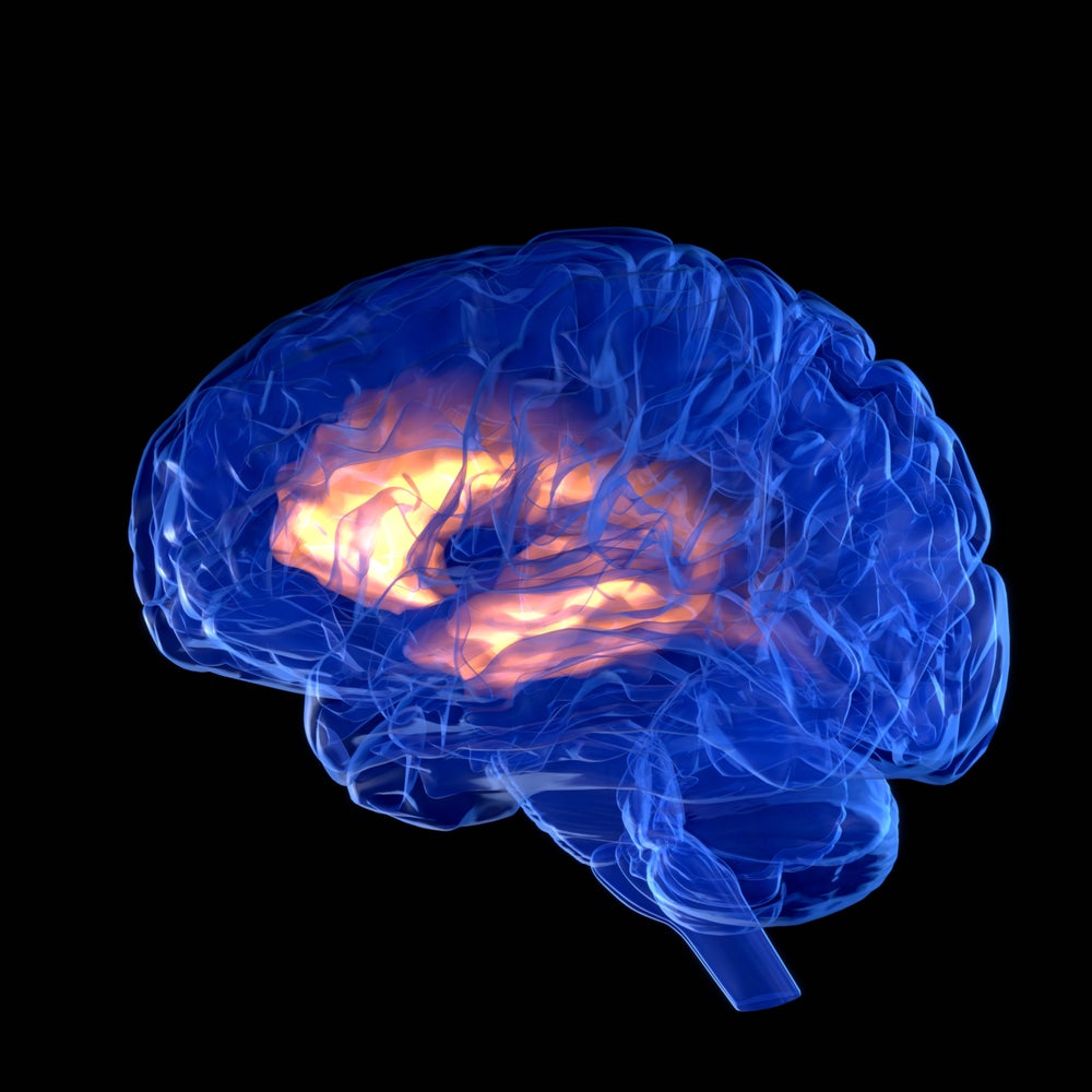 New Form of Parkinson's Treatment Uses Real-Time Deep-Brain Stimulation | Scientific American New Form of Parkinson's Treatment Uses Real-Time Deep-Brain Stimulation | Scientific American