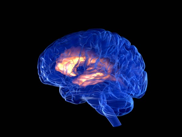 Illustration of the human brain, lit from within