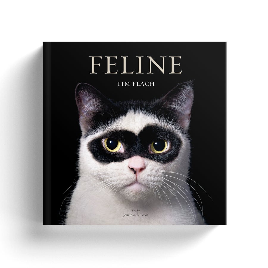 Feline book cover