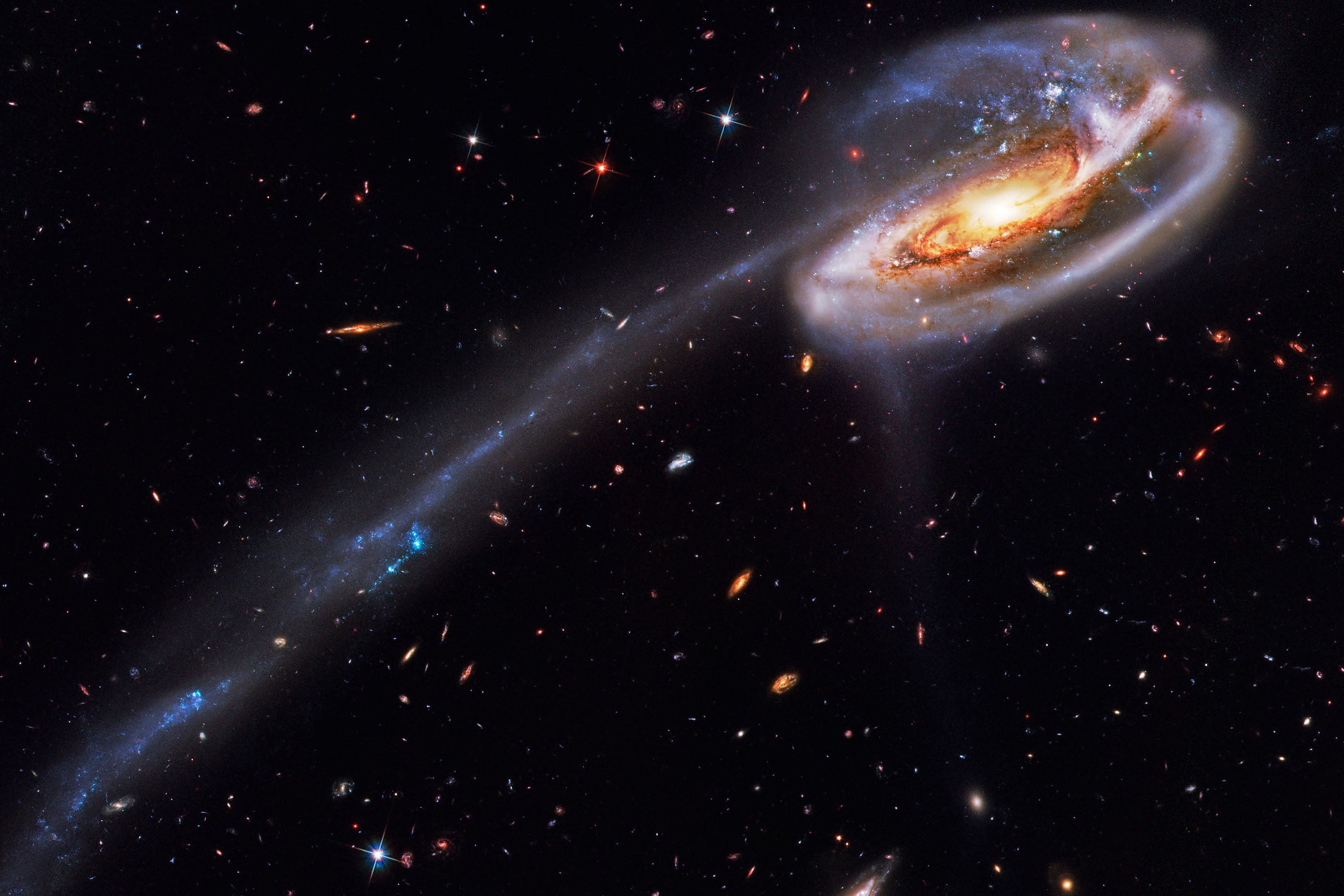 An image of the Tadpole Galaxy based on data from the Hubble Space Telescope