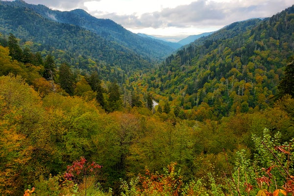 The Great Smoky Mountains, TN, captured at the beginning of Fall with white clouds on horizon.