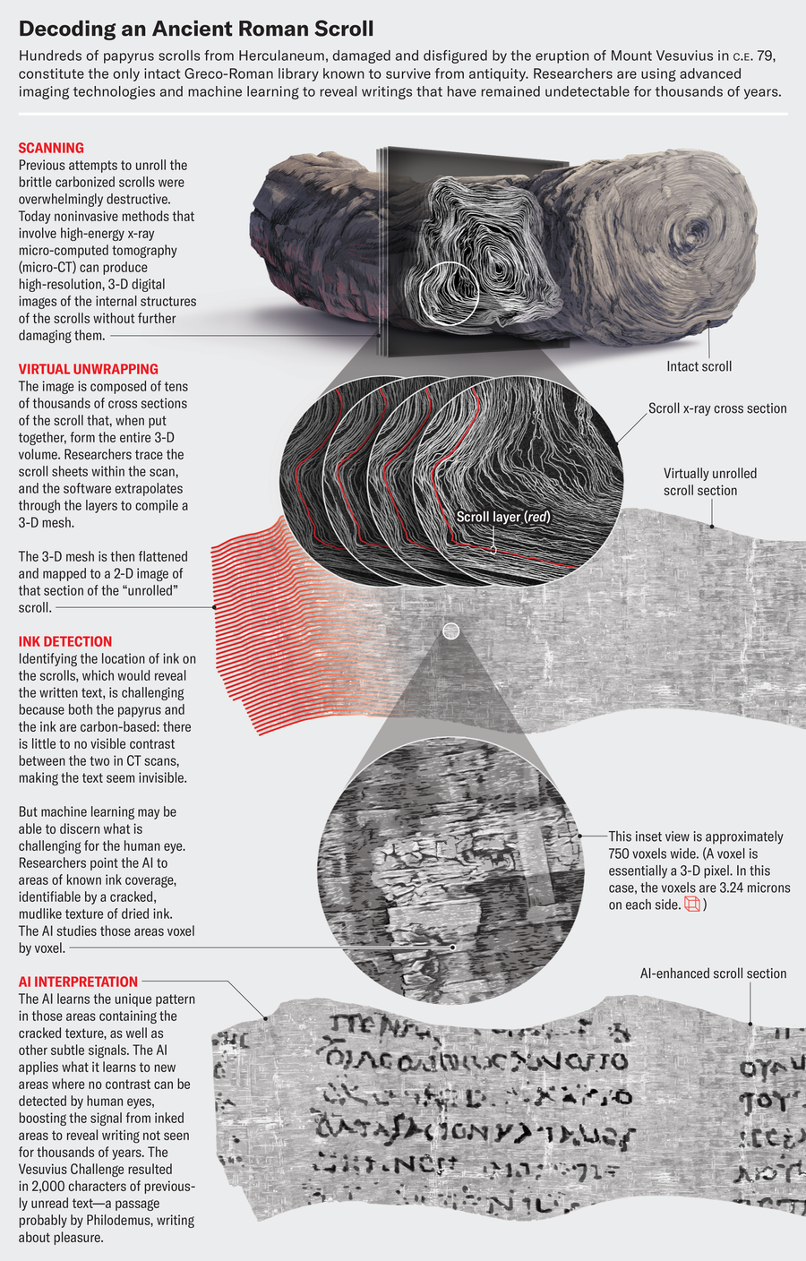 Series of illustrations show how the contents of a carbonized papyrus scroll were revealed. High energy micro-CT scans were extrapolated into a 3-D mesh which was then flattened. Researchers pointed AI to areas of known ink coverage. 