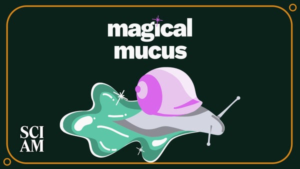 An illustrated pink snail leaves a trail of shiny green slime beneath the title "magical mucus"
