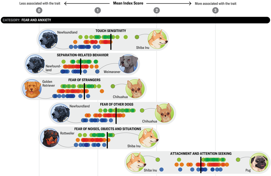 Second in a series of dog behavior charts. This set addresses fear and anxiety.