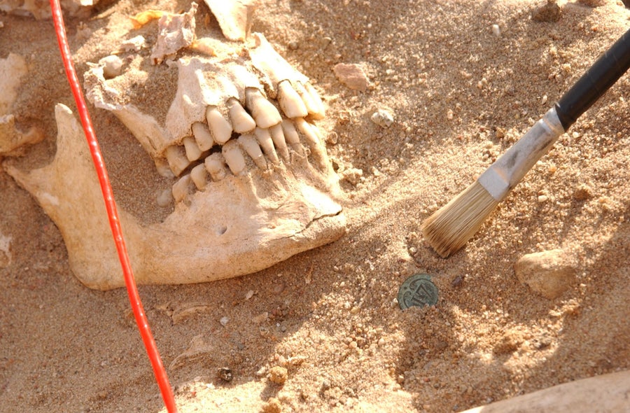 A buried skull with a paintbrush whisking away sand covering its face.