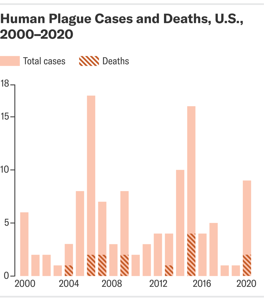 A bar chart displays the number of human plague cases and deaths in the U.S. from 2000 to 2020, with an average of seven cases per year. The year 2006 had the most cases, with 17 cases and two deaths.
