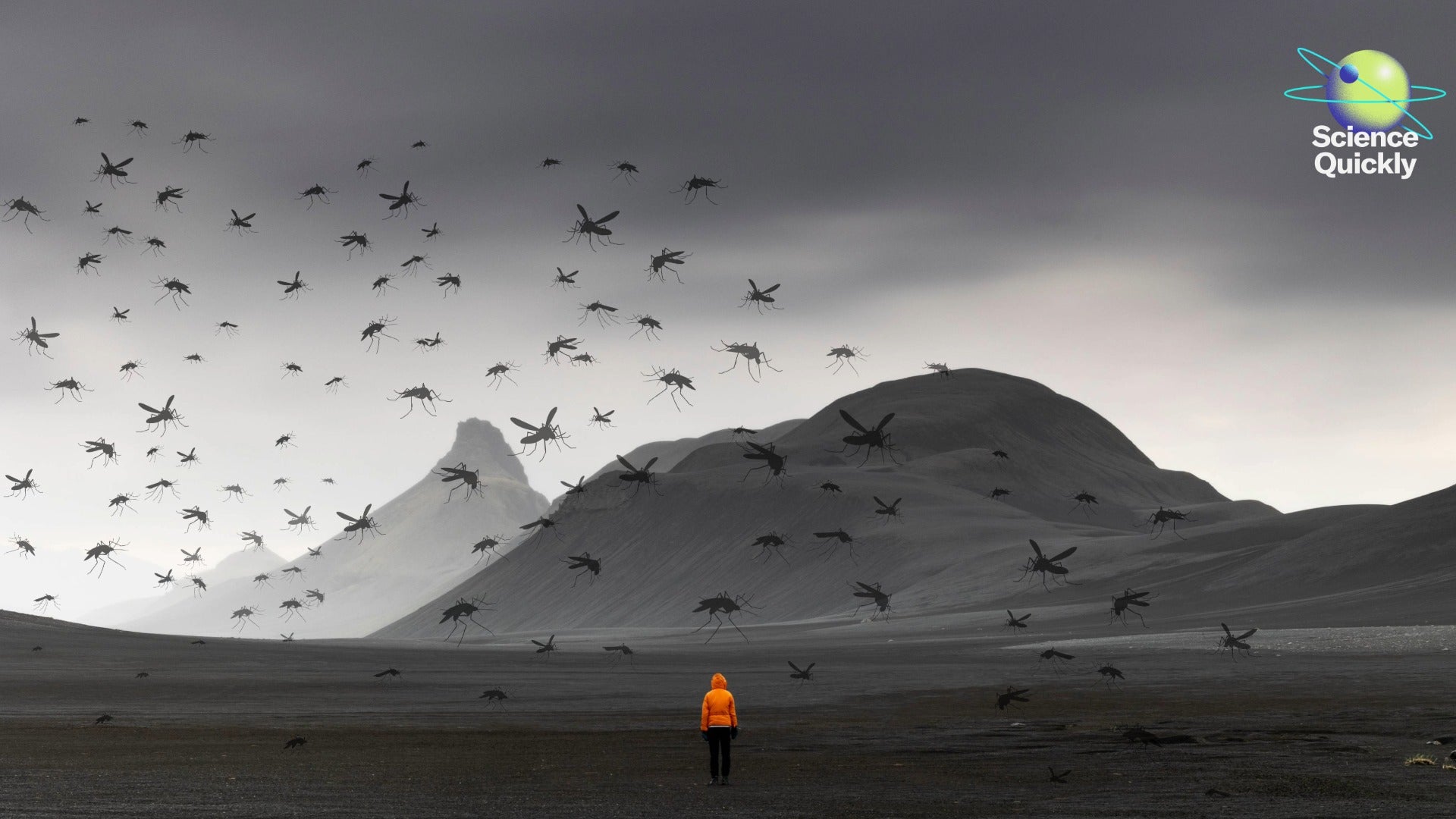 A view of a desolate looking arctic landscape in hues of gray with a lone figure in an orange parka standing in the foreground with composited clouds of mosquitoes around them.