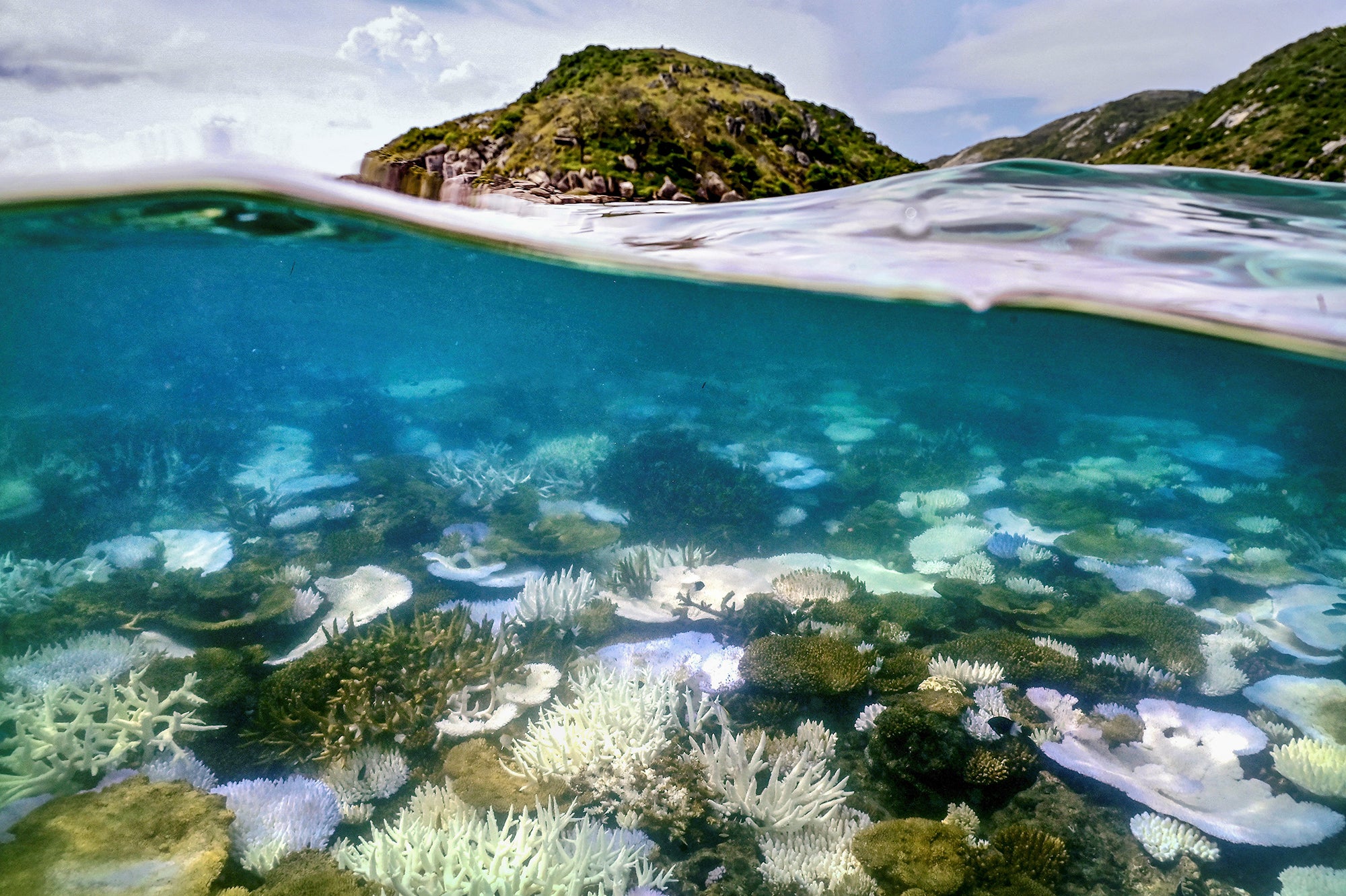 Coral in the ocean off of Lizard Island on the Great Barrier Reef. At the bottom of the frame the reef can be seen underwater with bleached and dead coral. At the top of the frame is the above water view of sky and hills.