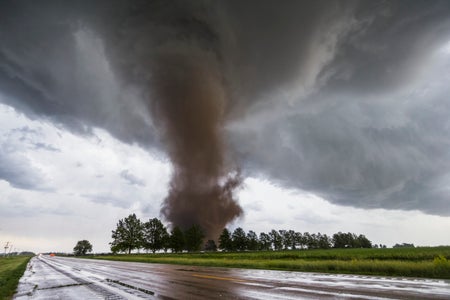 A brownish funnel-shaped cloud seen next to a roadway and in front of a line of trees.