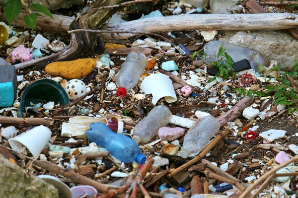 essay on solution on plastic pollution