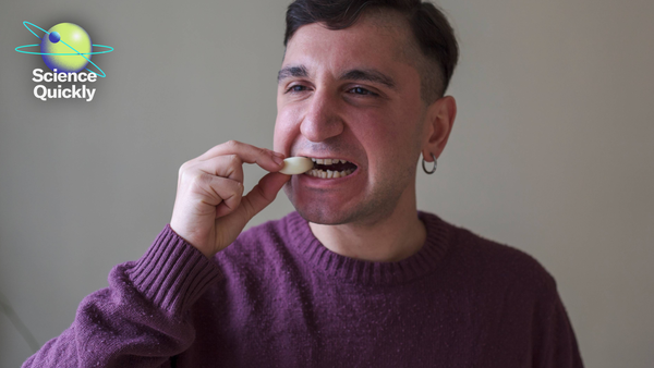 Illustration of a man biting into a clove of garlic