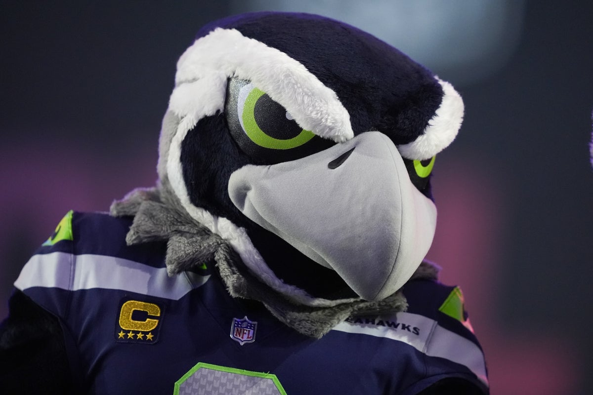 Are seahawks real? The science behind Seattle's Super Bowl team