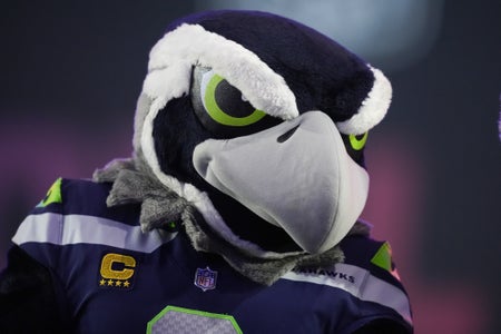 Close up head shot of a black, white and gray bird mascot with lime green eyes an wearing a football jersey