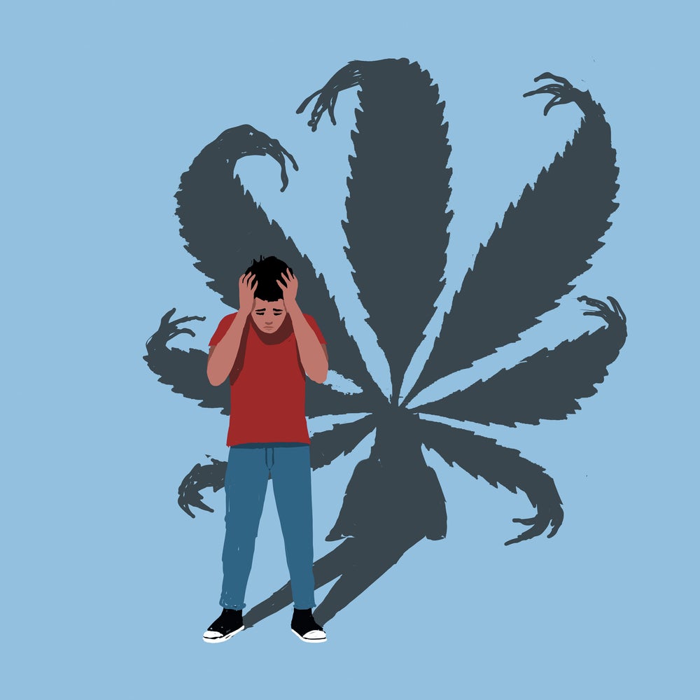 The Link between Cannabis and Psychosis in Teens Is Real | Scientific  American