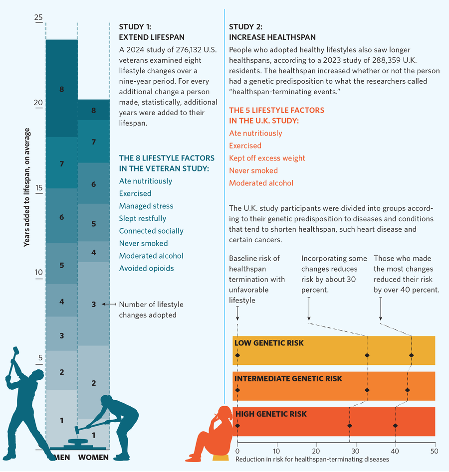 Grafische Darstellung von zwei verschiedenen Studien zur Verlängerung der Lebensdauer und der Erhöhung des HealthSpan