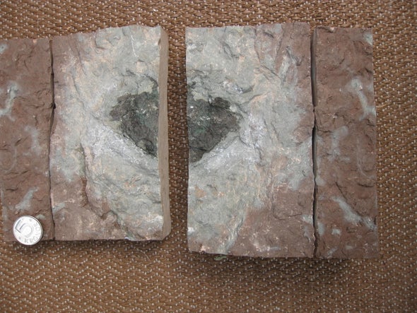 Descubren meteorito distinto de todos los demás que se han hallado en la Tierra