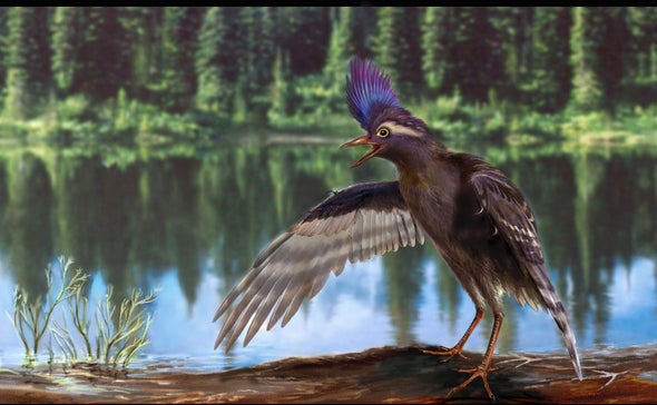 Los antepasados de los pájaros vivieron hace 130 millones de años
