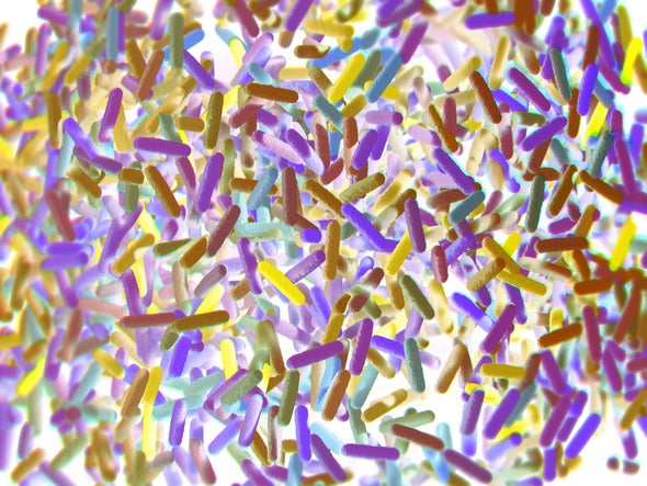 El lado amable de los microbios