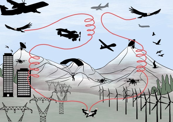 El ser humano y las aves están en guerra por el espacio aéreo