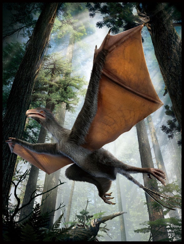 Resultado de imagen para Descubren fósiles de dinosaurios voladores parecidos a los murciélagos