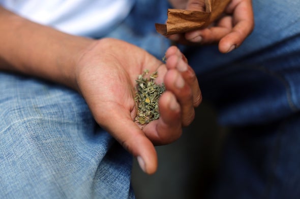 Sustitutos sintéticos de la marihuana no son seguros, según un estudio