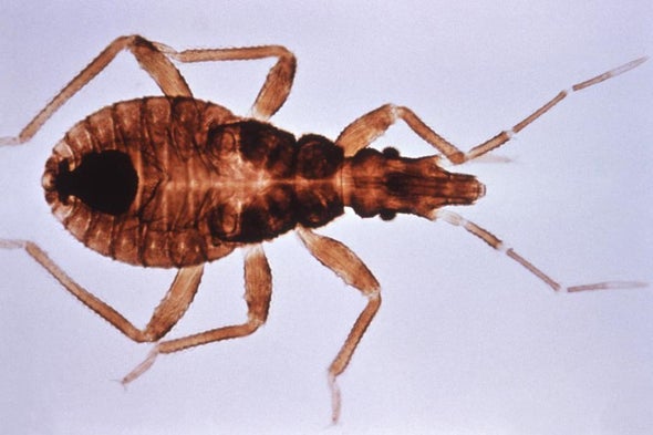 la enfermedad de chagas tiene cura