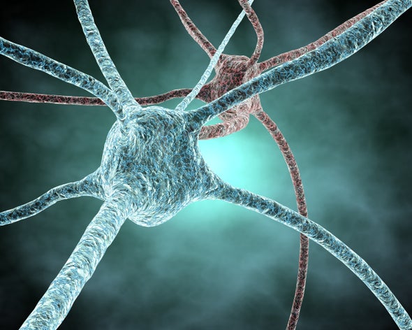 Los recuerdos residirían en el interior de las neuronas y no en sus sinápsis