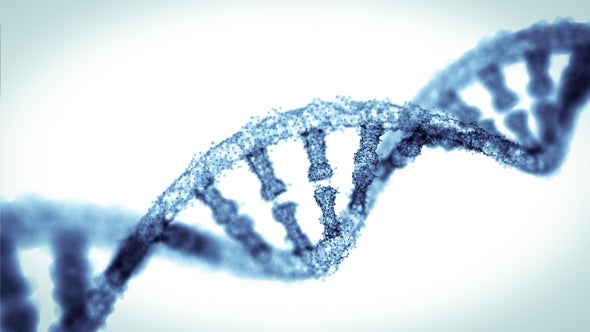 Descubren nueva maquinaria de reparación de errores en el ADN